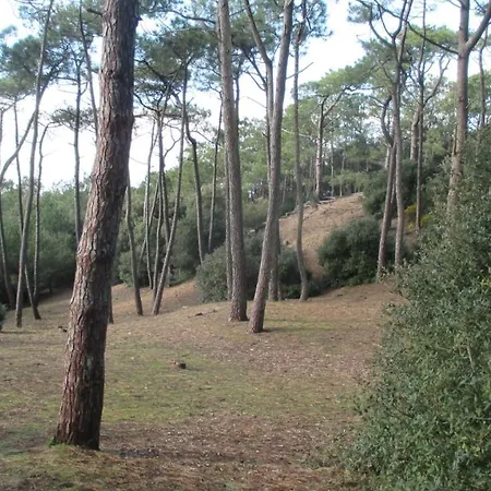 Hébergement de vacances Home-cosy - 6 Pers - 40 M2 3 Ch - 2 Sdb Et 2 Wc