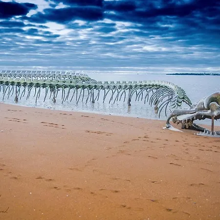 Home-cosy - 6 Pers - 40 M2 3 Ch - 2 Sdb Et 2 Wc * Saint-Brevin-les-Pins