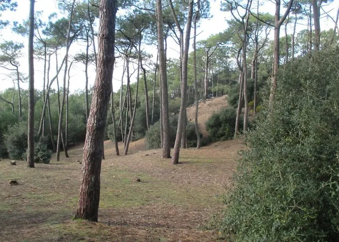 Σπίτι διακοπών Home-cosy - 6 Pers - 40 M2 3 Ch - 2 Sdb Et 2 Wc