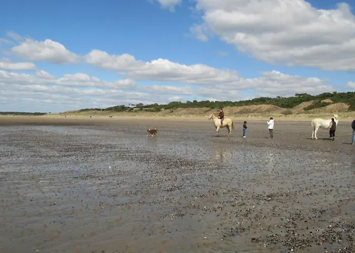 Сasa de vacaciones Home-cosy - 6 Pers - 40 M2 3 Ch - 2 Sdb Et 2 Wc