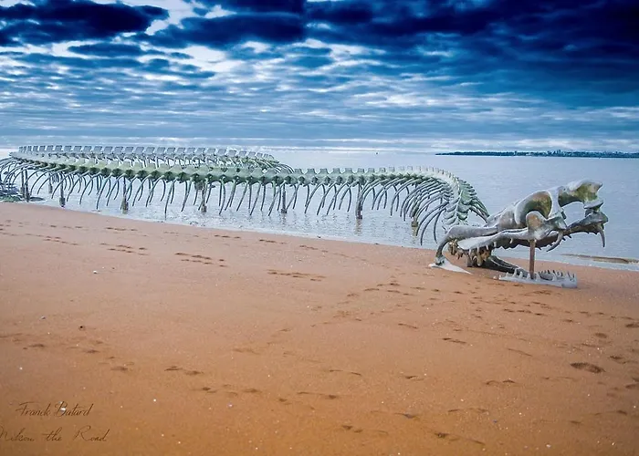 Home-cosy - 6 Pers - 40 M2 3 Ch - 2 Sdb Et 2 Wc * Saint-Brevin-les-Pins